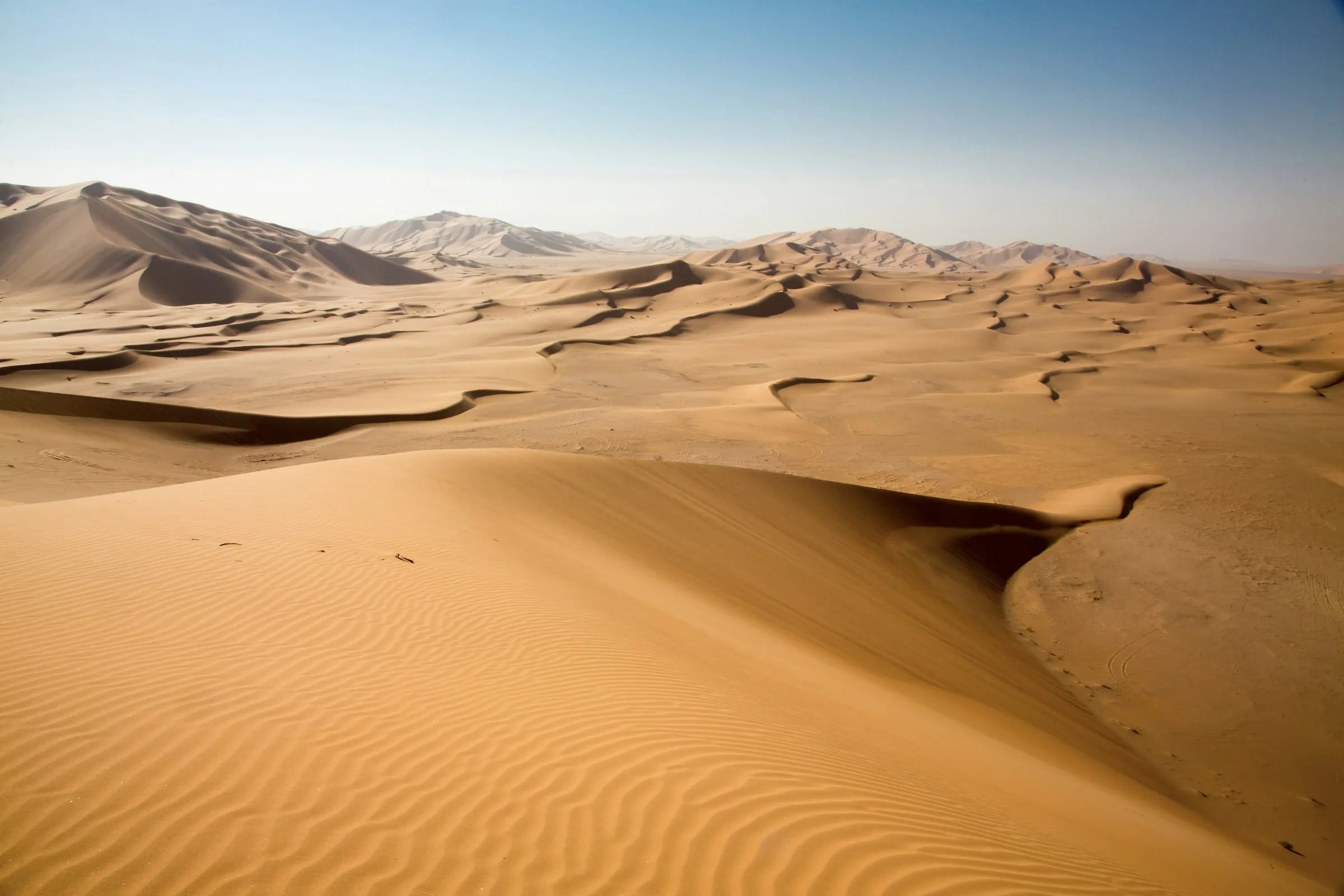 Wind-sculpted sand dunes stretching to the horizon under a clear sky