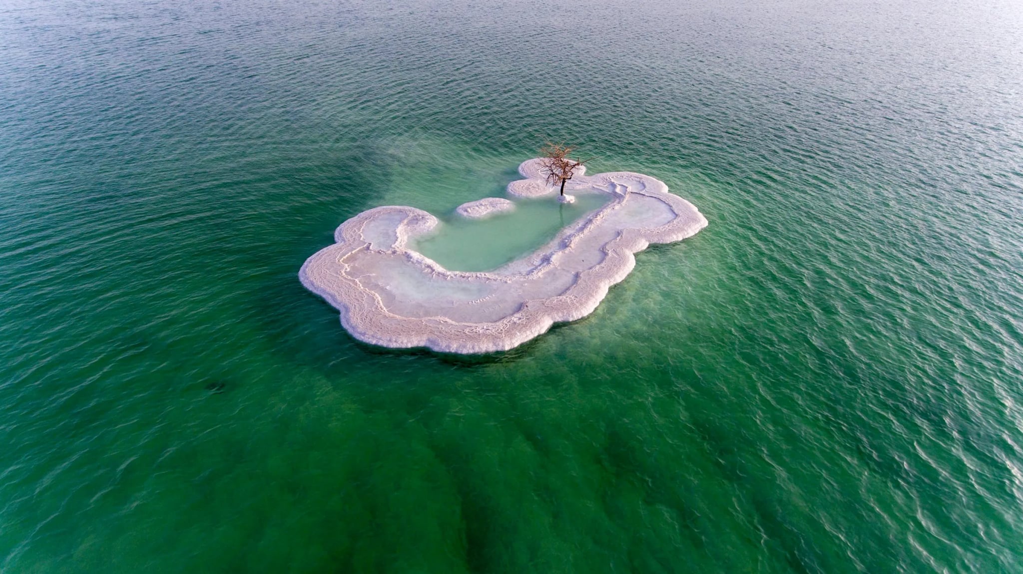 A white salt formation in turquoise hypersaline water, seen from above